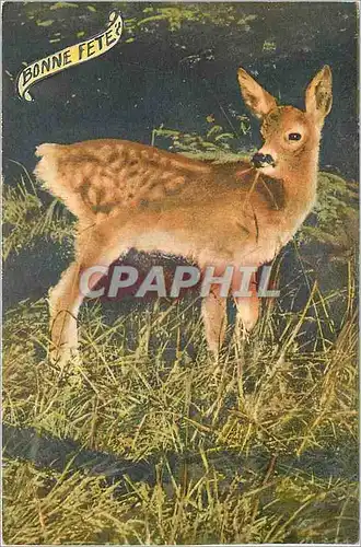 Cartes postales Bonne Fete