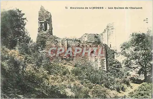 Cartes postales Environs de Limoges Les Ruines de Chalucet