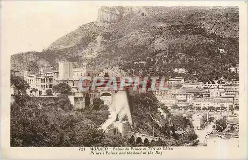 Cartes postales Monaco Palais du Prince et Tete de Chien