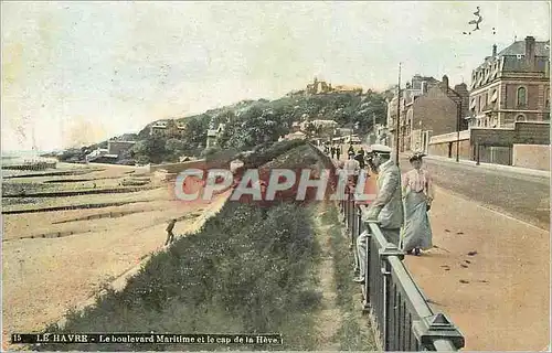 Cartes postales Le Havre le Boulevard Maritime et le Cap de la Heve