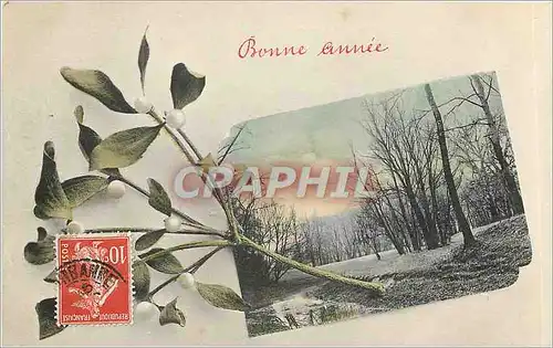 Cartes postales Bonne Annee