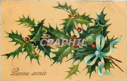 Cartes postales Bonne Annee