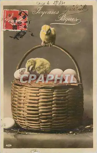 Cartes postales Joyeuses Paques Poussins