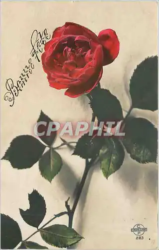 Cartes postales Bonne fete Fleurs