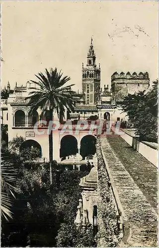 Cartes postales Sevilla la Giralda des l'Alcazar Royal