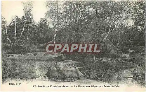 Cartes postales Foret de Fontainebleau la Mare aux Pigeons Franchard