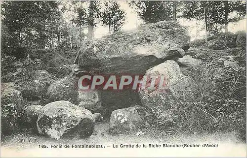 Cartes postales Foret de Fontainebleau la Grotte de la Biche Blanche Rocher d'Avon