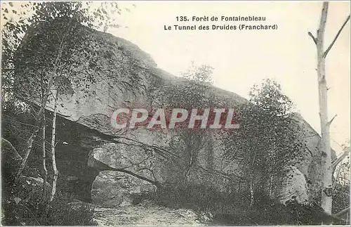 Cartes postales Foret de Fontainebleau le Tunnle des Druides Franchard