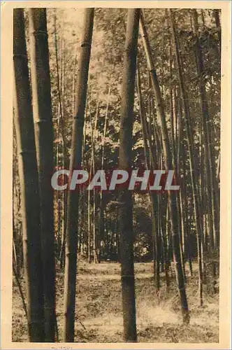 Cartes postales Domaine de Prafrance Gard