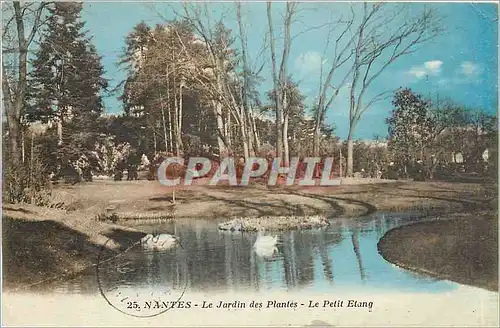 Ansichtskarte AK Nantes Le Jardin des Plantes Le Petit Etang