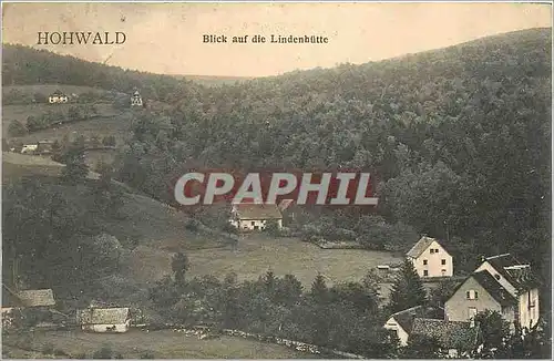 Cartes postales Hohwald Blick auf die Lindenhutte