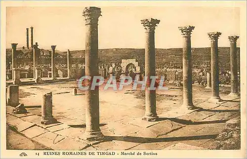 Cartes postales Ruines romaines de Timgad marche de Sertius