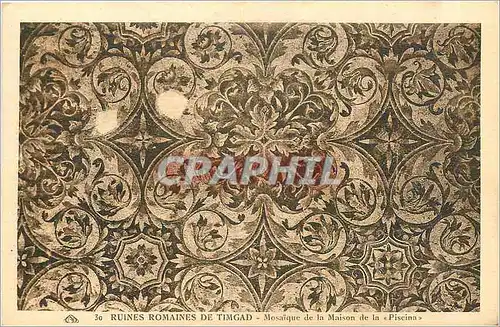 Cartes postales Ruines romaines de Timgad mosaique de la maison de la Piscina