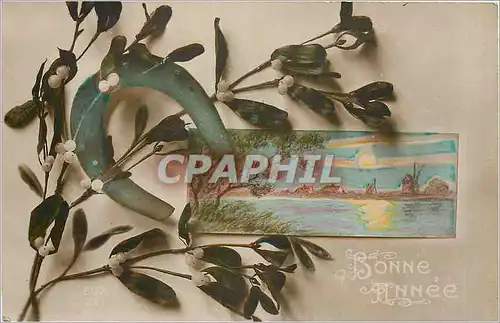Cartes postales Bonne Annee Fer a cheval