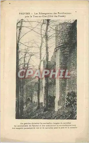 Cartes postales Provins les Echauguettes des Fortifications pres le Trou au Chat cote des Fosses