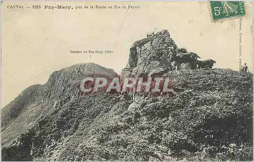 Cartes postales Cantal Puy Mary pris de la Route au Pas de Payrol Chevre Bouc