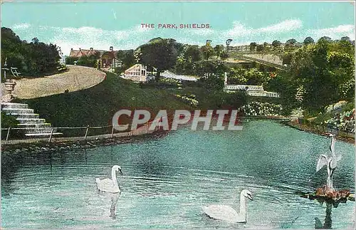 Cartes postales The park Shields Cygnes