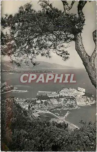 Cartes postales moderne La Cote d'Azur Monaco la principaute entre les pins