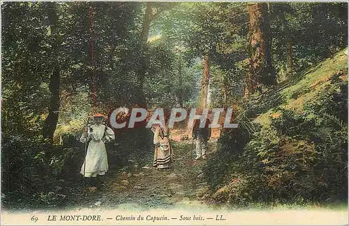 Ansichtskarte AK Le Mont Dore Chemin du Capucin Sous bois