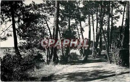 Moderne Karte Hossegor sous bois au bord du Lac