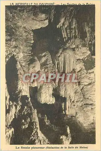 Ansichtskarte AK La Merveille du Dauphine les grottes de la Balme le Saule pleureur stalactites de la salle du Mo