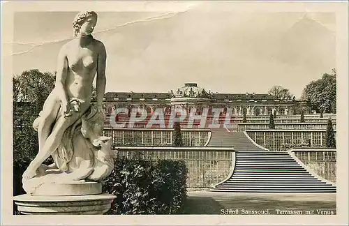 Cartes postales Schloss Sanssouci Terrassen mit Venus