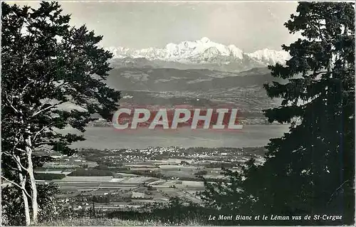 Cartes postales moderne Le Mont Blanc et le Leman vus de St Cergue