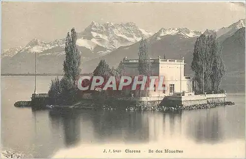 Cartes postales Clarens Ile des Mouettes