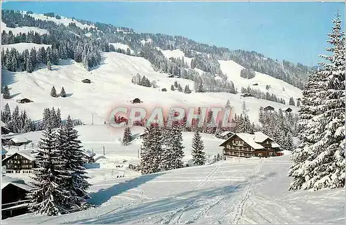 Cartes postales moderne Hotel Hornberg Saanenmoser