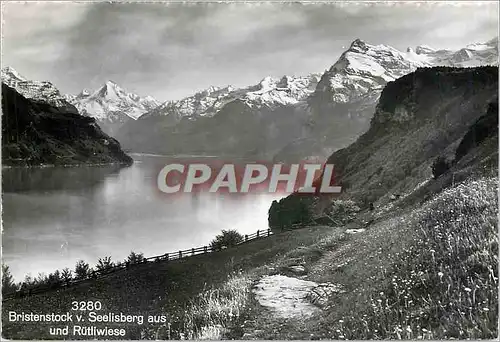 Cartes postales moderne Bristenstock v Seelisberg aus und Rutliwiese