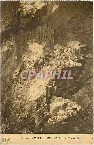 Cartes postales Grottes de Han le Choux fleurs