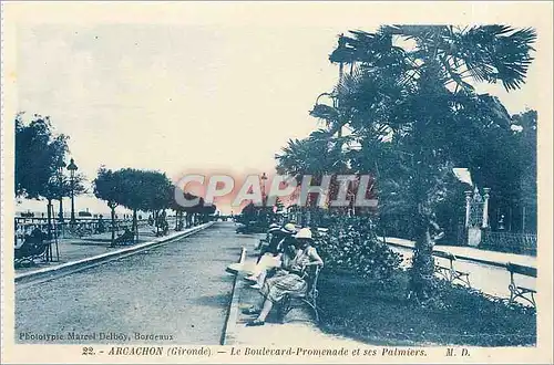 Cartes postales Arcachon Gironde le boulevard promenade et ses palmiers