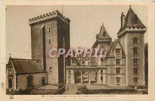 Cartes postales Pau chateau Henri IV donjon facade et entree