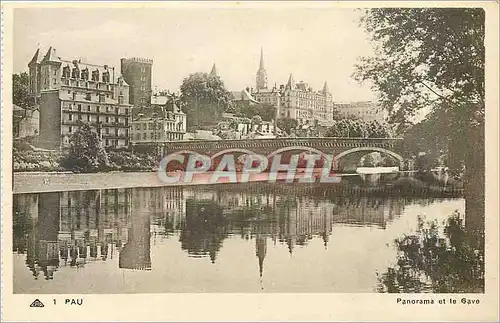 Cartes postales Pau panorama et le Gave