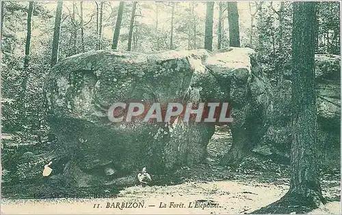 Cartes postales Barbizon la foret Elephant