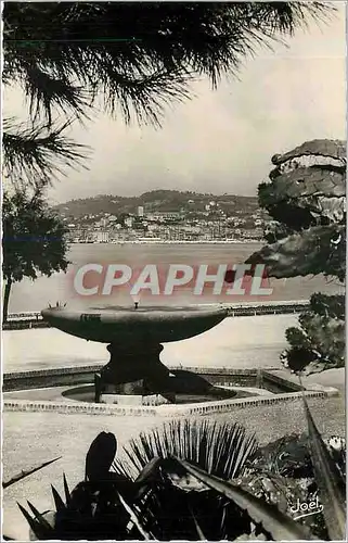 Cartes postales moderne La Cote d'Azur Cannes le Suquet vu du parc Albert 1er