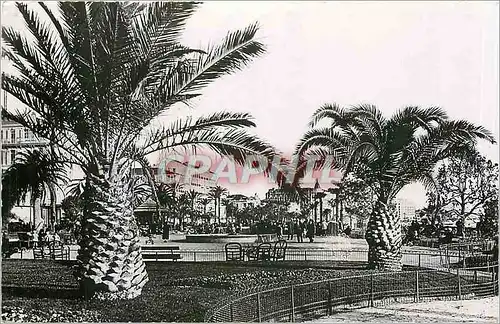 Cartes postales moderne Cannes les nouveaux Jardins