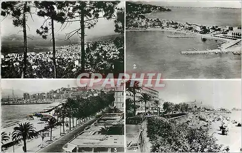 Moderne Karte Cannes Alpes Maritimes vue generale la Palm Beach vue de la Croisette et du Port la Croisette et