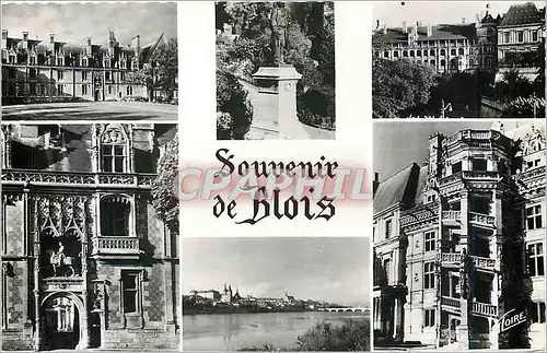 Cartes postales moderne Souvenir de Blois