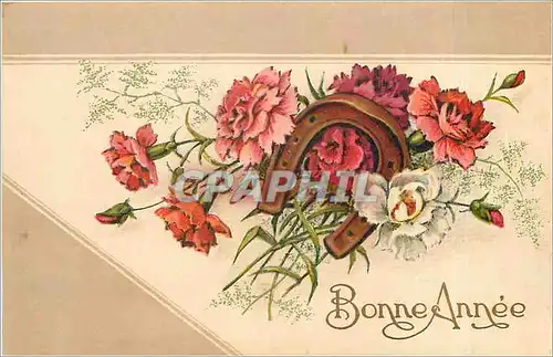 Cartes postales Bonne Annee Fer a cheval