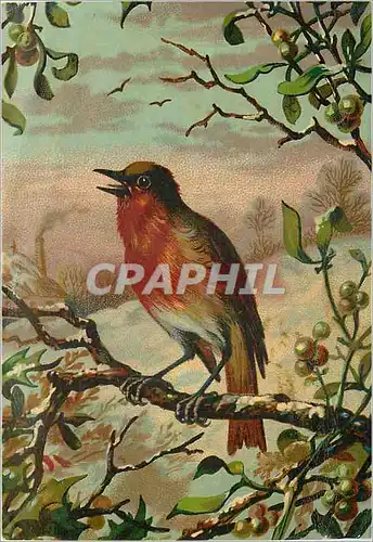 Chromo A la Belle Jardiniere Beriot a Lille Oiseau