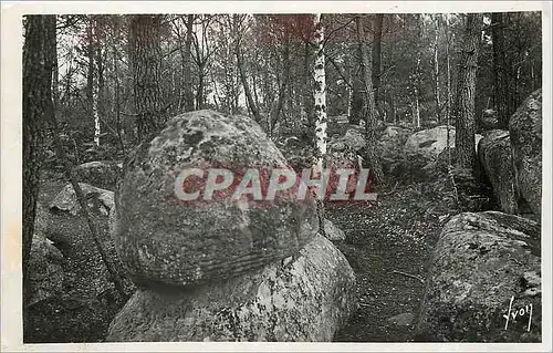 Ansichtskarte AK Fontainebleau S et M La foret Apremont Le mousseron