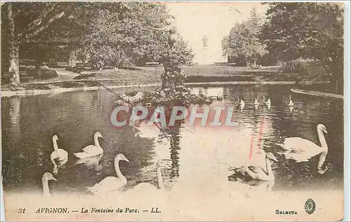 Ansichtskarte AK Avignon La Fontaine du Parc Cygnes