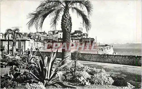 Cartes postales moderne Antibes Les Remparts construits par Vauban