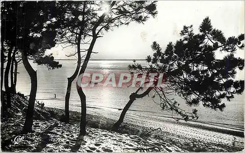 Cartes postales moderne Bassin d'Arcachon Coucher de Soleil