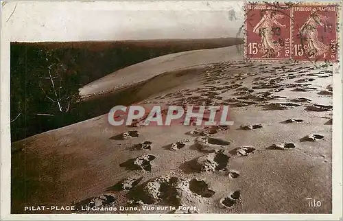 Cartes postales Pilat Plage La Grande Dune Vue sur la Foret