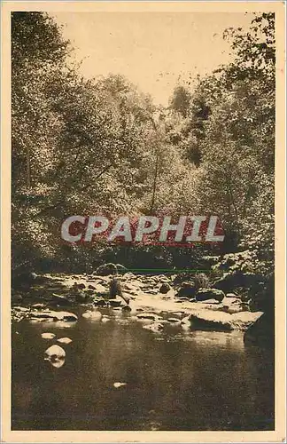 Cartes postales Avallon Vallee du Cousin Moulin Cadoux Le Chene de la Peur