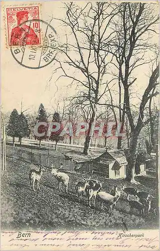 Cartes postales Bern Kirschenpark Biches