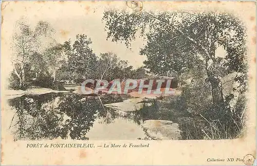 Cartes postales Foret de Fontainebleau La Mare de Franchbard