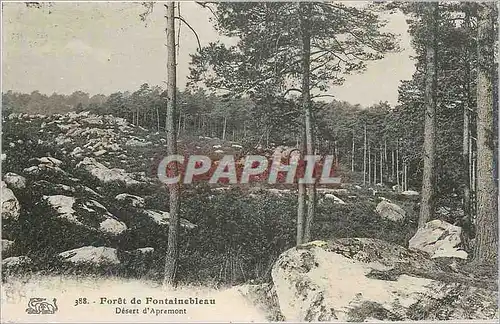 Ansichtskarte AK Foret de Fontainebleau Desert d'Apremont